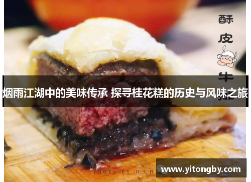烟雨江湖中的美味传承 探寻桂花糕的历史与风味之旅