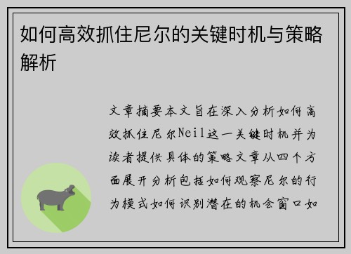 如何高效抓住尼尔的关键时机与策略解析